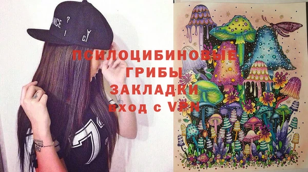 мяу мяу мука Абаза
