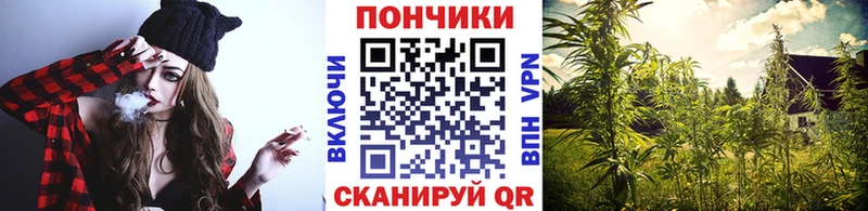 shop наркотические препараты  Ангарск  Каннабис LSD WEED 